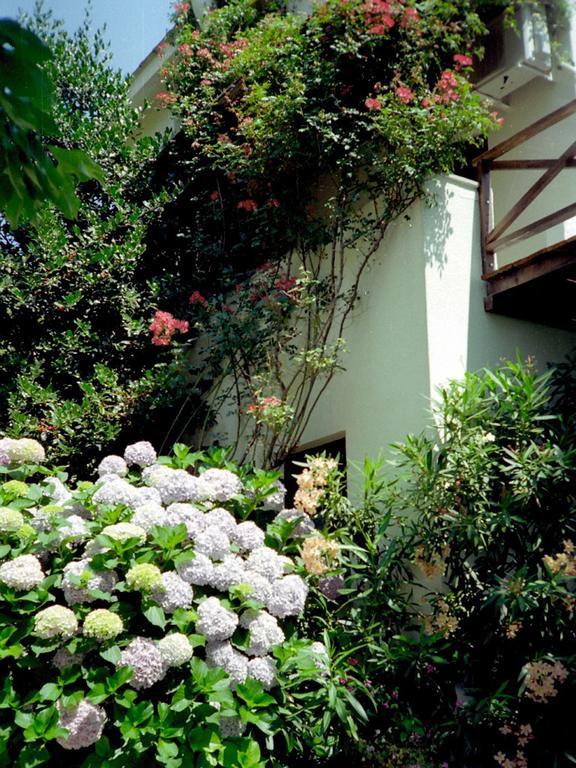 Villa Georgie Tsagkarada Dış mekan fotoğraf