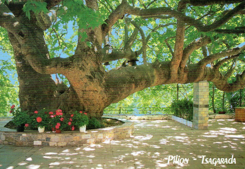 Villa Georgie Tsagkarada Dış mekan fotoğraf